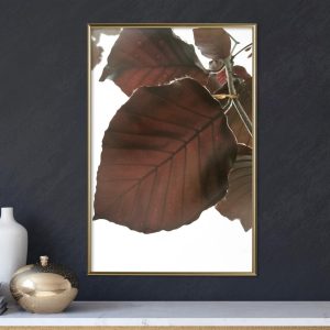 Burgundy Tilia Leaf