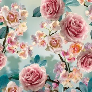 Sweet roses