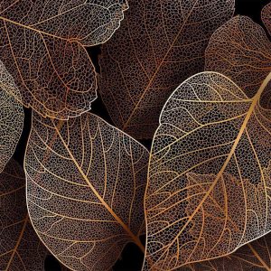 Fotobehang – Nature in My Home – First Variant